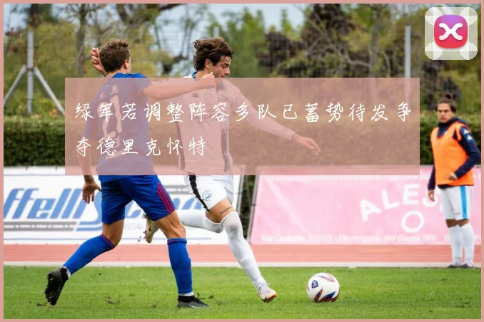 绿军若调整阵容多队已蓄势待发争夺德里克怀特