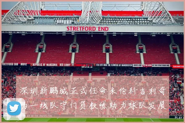 深圳新鹏城正式任命米伦科吉利奇为一线队守门员教练助力球队发展
